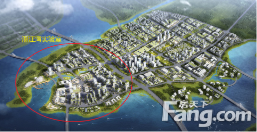 湛江网站建设自建团队（湛江湾实验室龙王湾研发基地一期选址发布 什么时候全面动工）