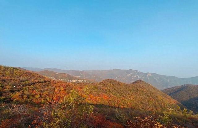 河南焦作现五彩步道	，1300米钢架防腐木，免费开放游客暴增