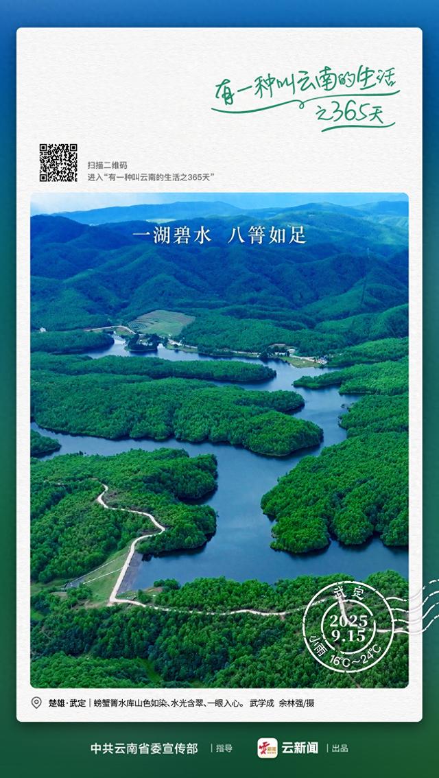 武定“绿色多巴胺”上线！——有一种叫云南的生活之365天