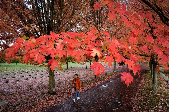 加拿大温哥华现在几点钟？（加拿大温哥华秋色）