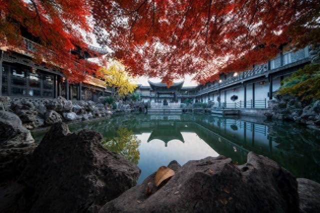 江苏深秋封神路线！红叶燃山野，银杏铺禅径，13城秋韵一次锁死
