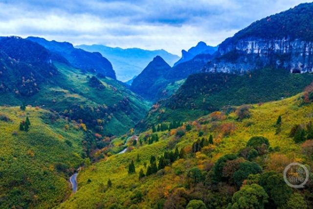 冬染金佛山 彩林美如画