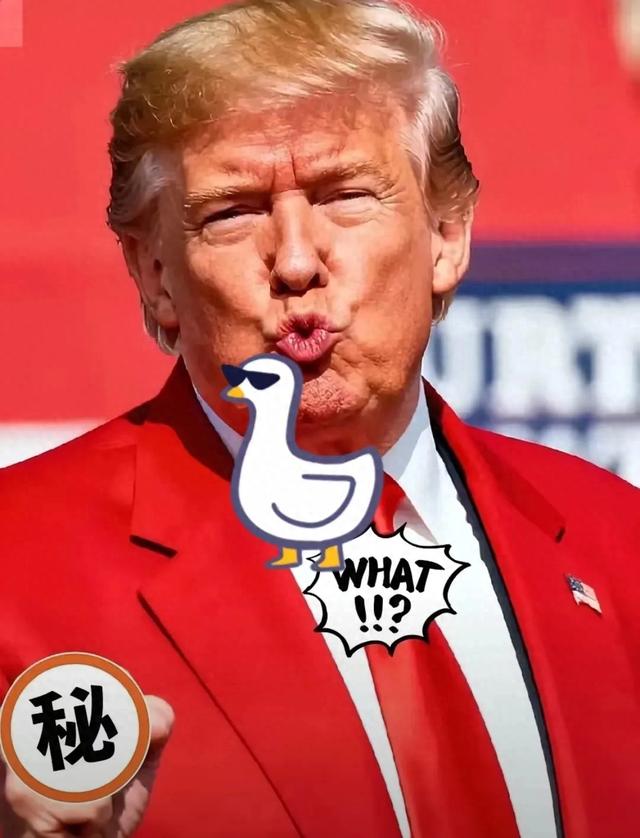 快讯！就在刚刚！美国总统特朗普突然宣布了！