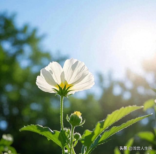 搞定50岁女人最高级的套路：不是讨好，而是让她上瘾的4个暗招！