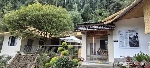 团山村“猪坚强”之旅：精神与文化的激励之行