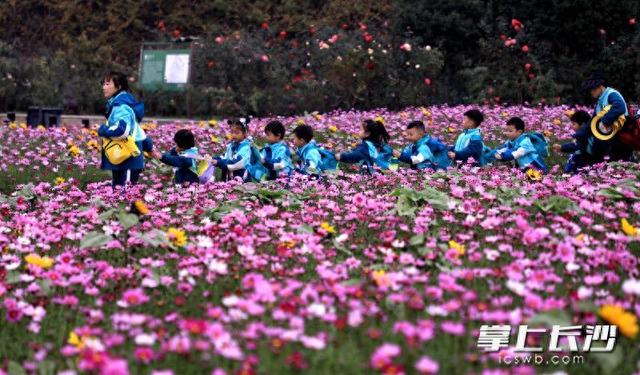 省植物园世界名花广场浪漫花海等你来打卡