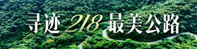 十大景点！让你爱上惠州这条路｜寻迹218最美公路