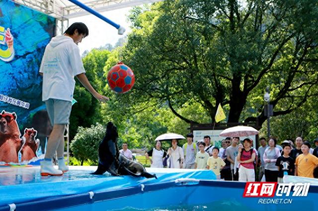 黄龙洞清凉游升温 中外游客乐享避暑度假新体验