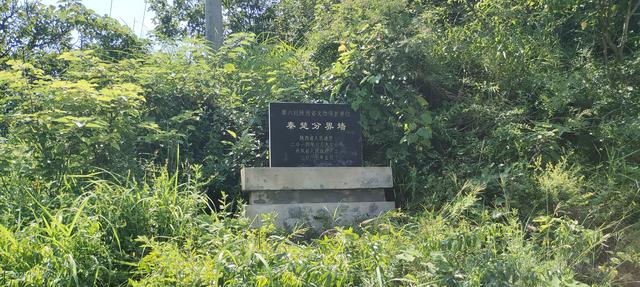 走进商南县清油河镇吊庄村：看物阜民丰的山水长卷