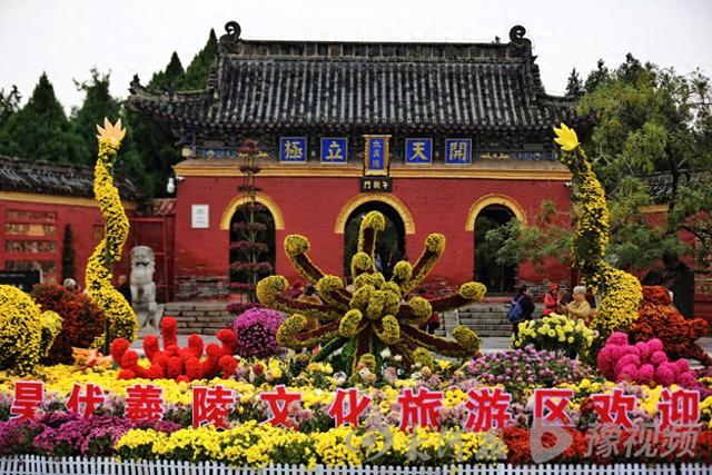 周口：重阳赏菊正当时 千年古陵飘菊香