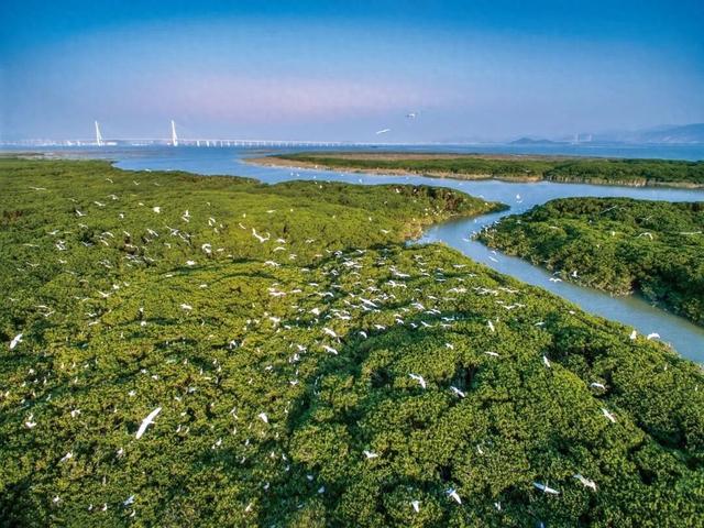 正式通车！直达漳州这一知名景点！