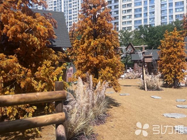 秋日打卡去哪？“山下旷野牧场”解锁“苏州阿勒泰”浪漫