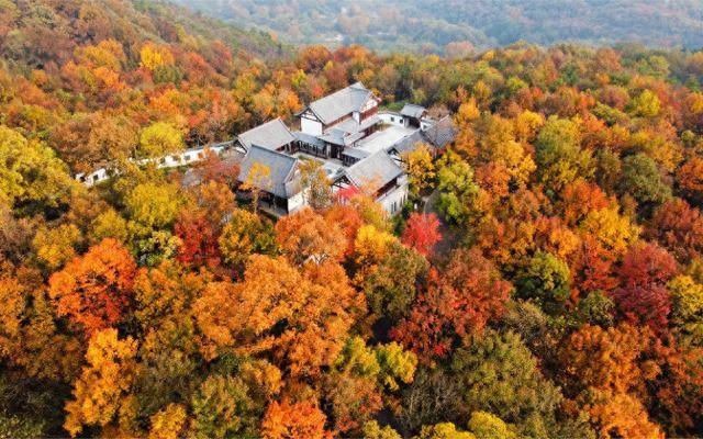 栖霞山下藏“隐逸”，颐和新作诠释“一泊二食”养生旅居新体验