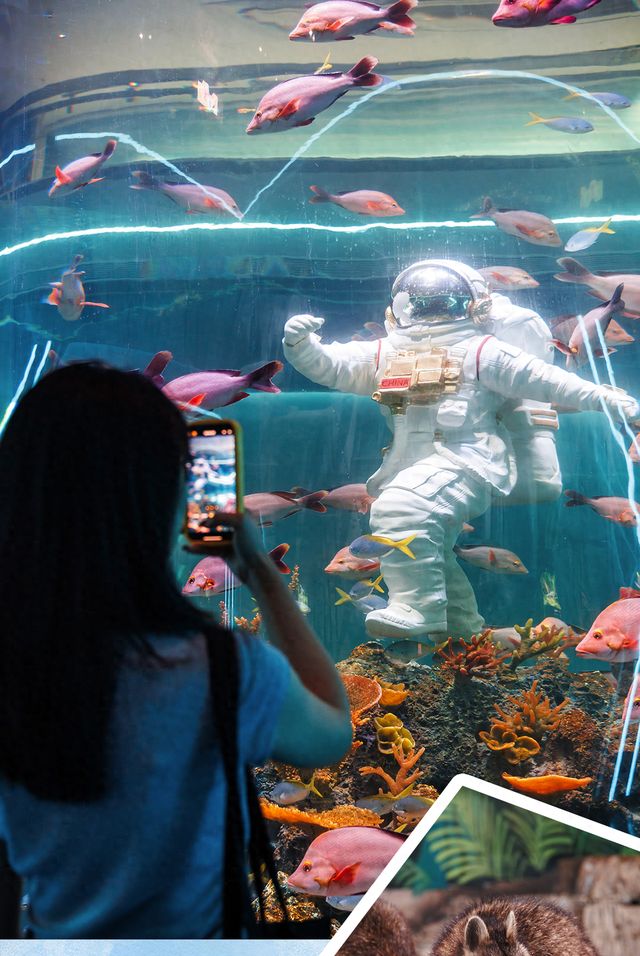 刷爆番禺人朋友圈的新地标，18000㎡的空间究竟藏着什么？