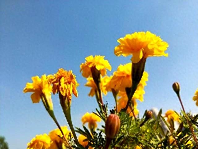 错过了自己喜欢的人说说（错过了最爱的人）