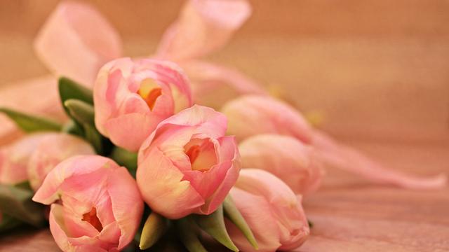 12月21号至24号	，星期日，亥猪，有事发生了