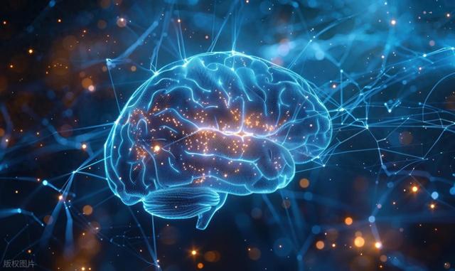 《神经元》：社交真能抗癌！中国科学家破解大脑调控肿瘤神经机制