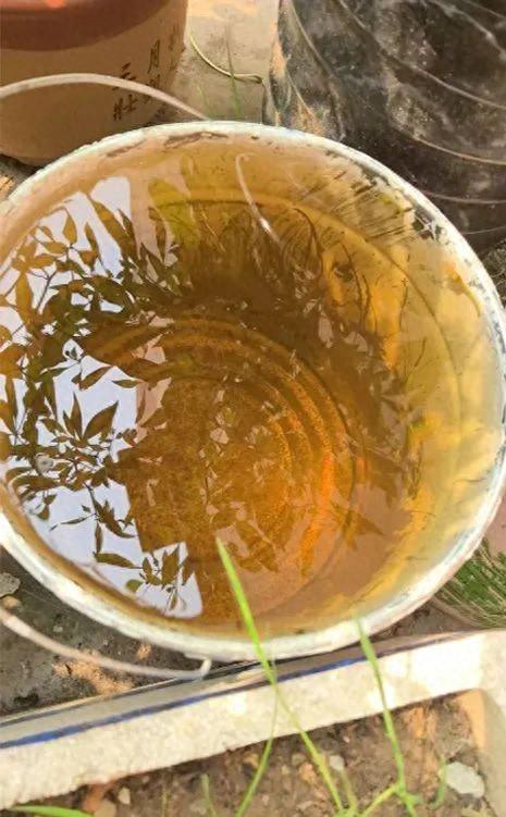 疯狂的瓶盖破解版下载（紧急提醒这种水千万别存别用）