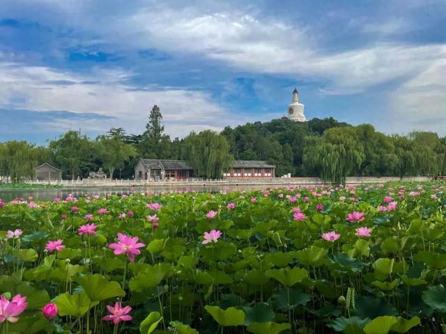 逛西城，到北海公园来个20分钟“精神快充”——