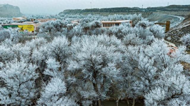 新疆托克逊县天山红河谷现雾凇景观 玉树琼枝映赤壁