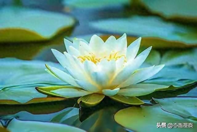 10个直击现实的人生法则