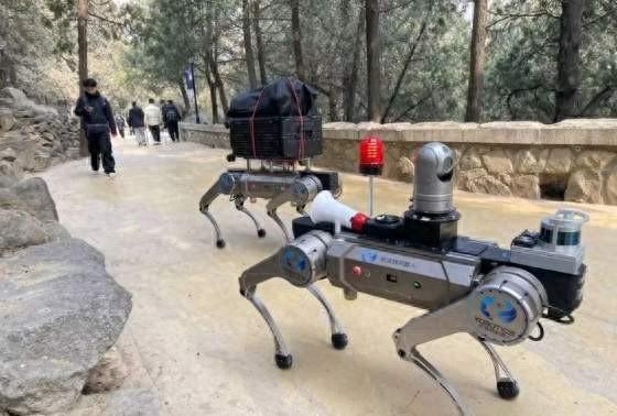 招引平台龙头企业落地，济南加速推动机器人产业链“建延补强”