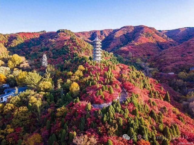 历城,你到底经历了什么? 历城,你到底经历了什么?