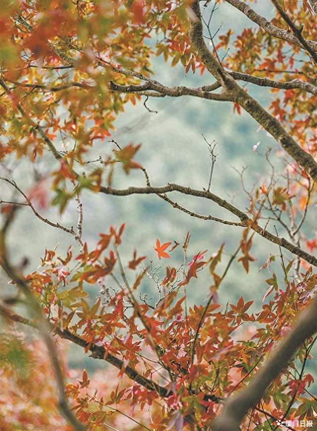 留住秋日浪漫！这份“捡秋”地图请查收