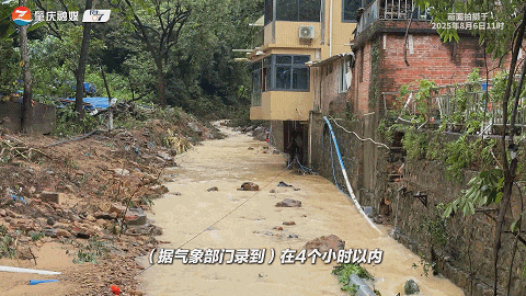 肇庆鼎湖山景区最新情况如何？预计重新开放时间是→
