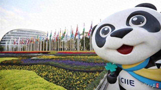 八度亮相进博会，他们今年锚定AI赋能与企业出海新航道