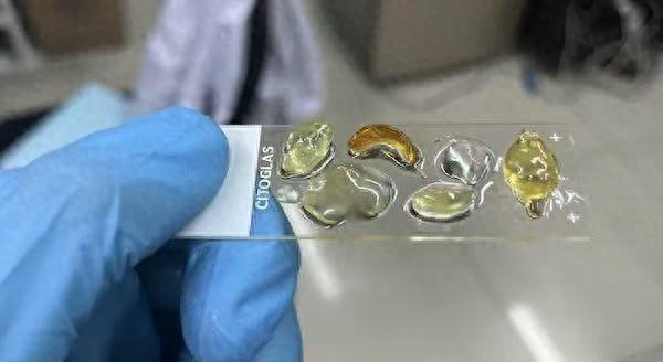清华发布玻璃态组织透明化技术 给科研人员装上“透视眼”
