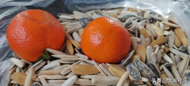 她姨的瓜子儿早饭