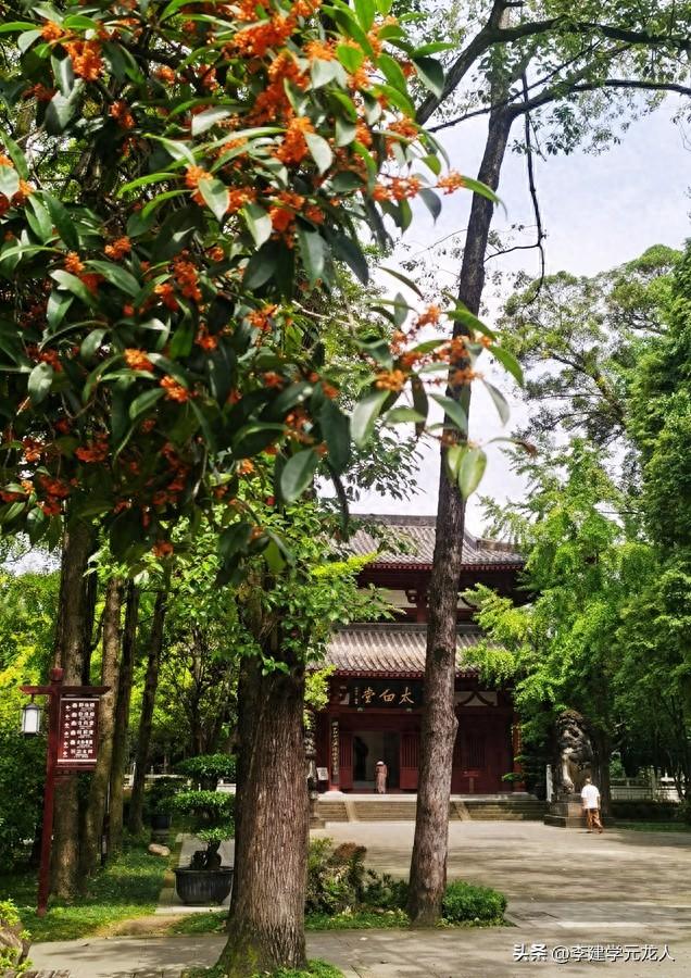 寻李白到江油