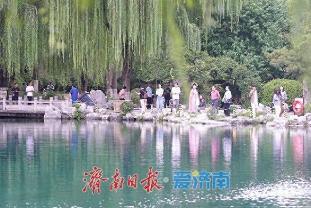 秋雨润泉！济南“泉水游”持续在线