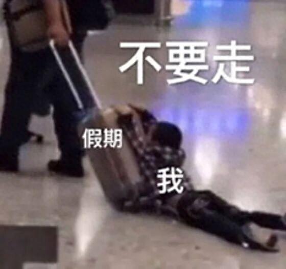 进度99%~ 是时候一起回顾坪山的美美Holiday