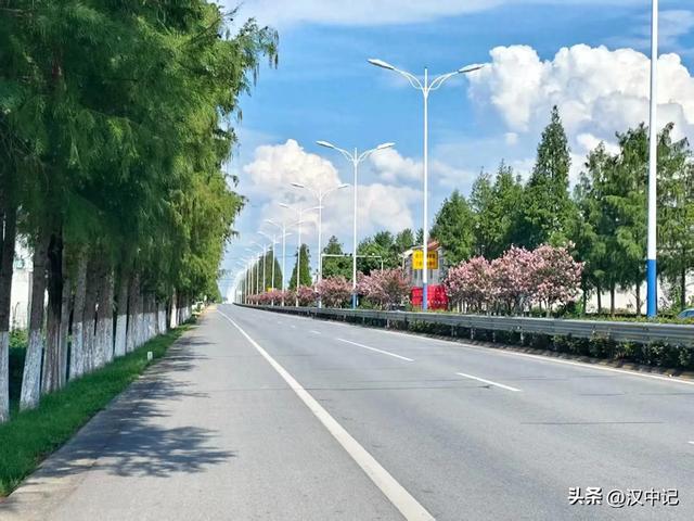 国道紫薇开，匠心绘“画”来