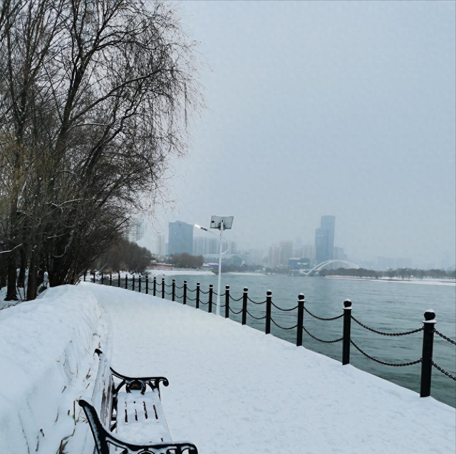 漫步黄河之滨幽静的小路