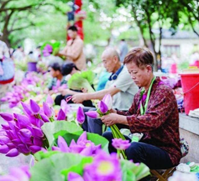 奔赴古城寻找“美”，姑苏喊你“早点来”