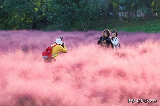 【遇见运河】沧州市：大运河畔秋景如画