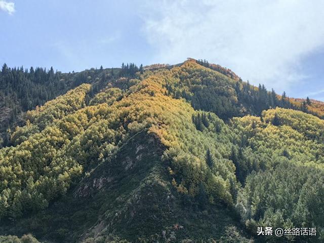 图集丨秋色斑斓 步入绿野仙踪的秘境——焉支山