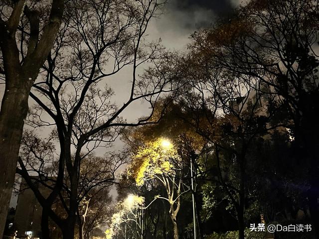 树叶在微风的吹拂下发出沙沙的声音像什么（费尔南多·佩索阿风对你说了什么感受风带来的一切多么有意思）