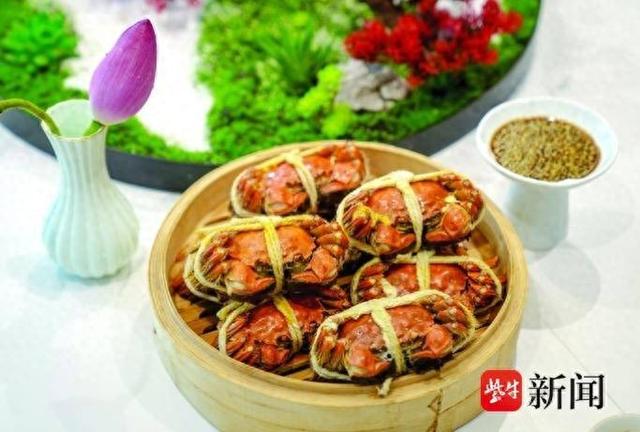 到苏州相城，赴一场秋日之约