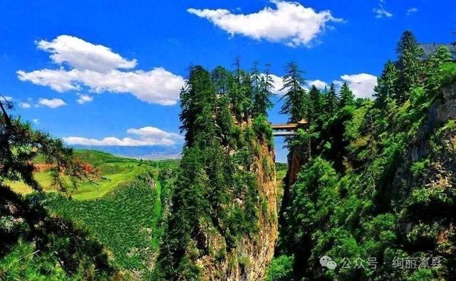 一卷山水，一味乡愁｜辞家千里的漳县儿女，你的行囊里装着整个故乡