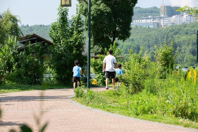 毕节七星关：藏在 21℃夏天里的宝藏避暑地