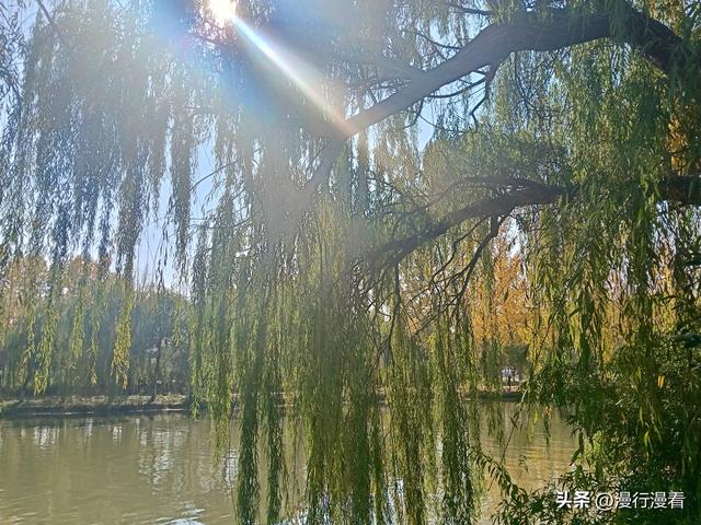 遇见“魏国古都，梨乡水城”