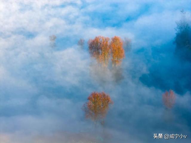 杨湾桥水库云海：水墨入镜，云海成诗