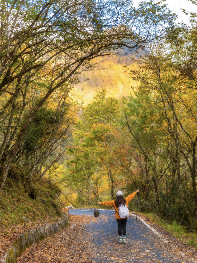 《2025雅安深秋耍事》出炉！这样耍，安逸得很！