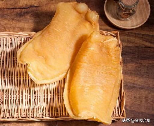 赤嘴鳘鱼胶功效作用 2026年赤嘴鳘鱼胶是什么鱼