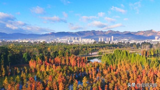 在晋宁，遇见冬日滇池绿道，邂逅诗意山水田园