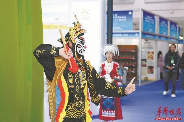 2025湖南旅博会圆满落幕